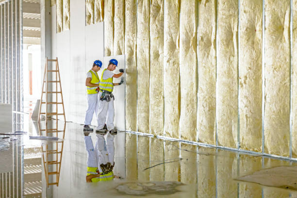 Best DIY Insulation Kits and Guidance in Greensburg, LA